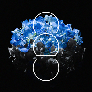 2023年乌兰图雅B放大
