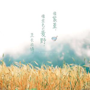 2023年乌兰图雅B放大
